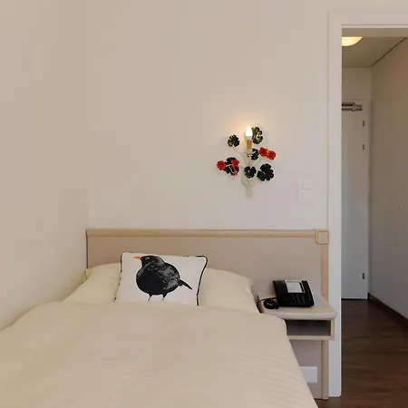 Beausite Hotel Unterseen