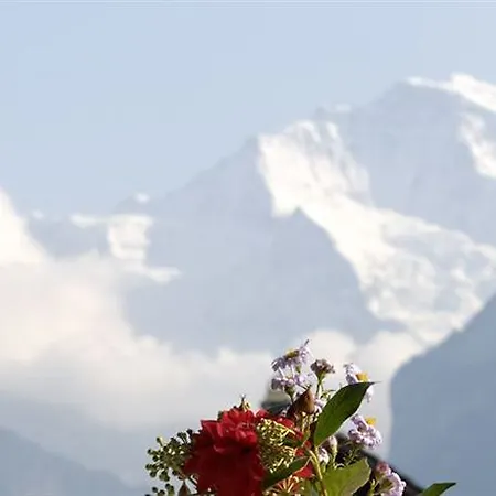 Beausite Hotel Unterseen