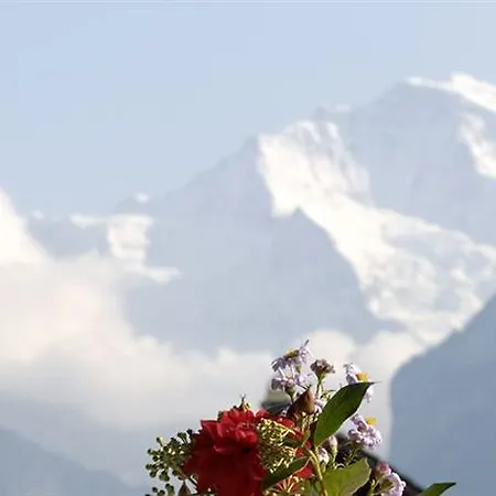 Beausite Hotel Unterseen