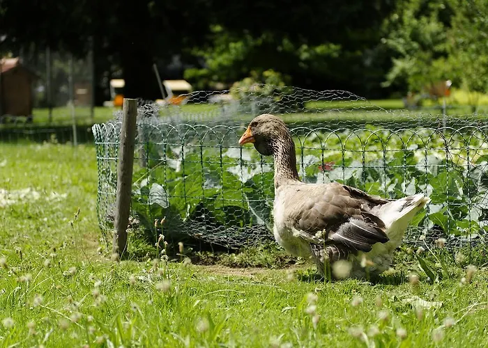 Beausite 3* Unterseen