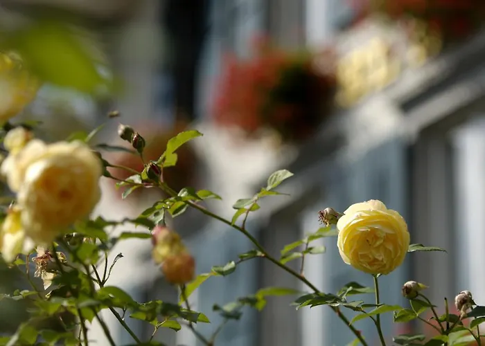 Hotel Beausite Unterseen