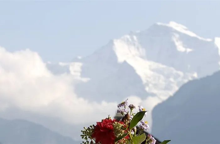 Beausite Hotel Unterseen