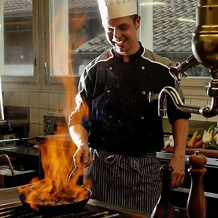 بوسيت فندق Unterseen